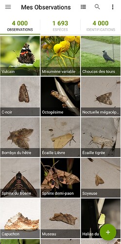 SmartSelect_20240902_173428_iNaturalist