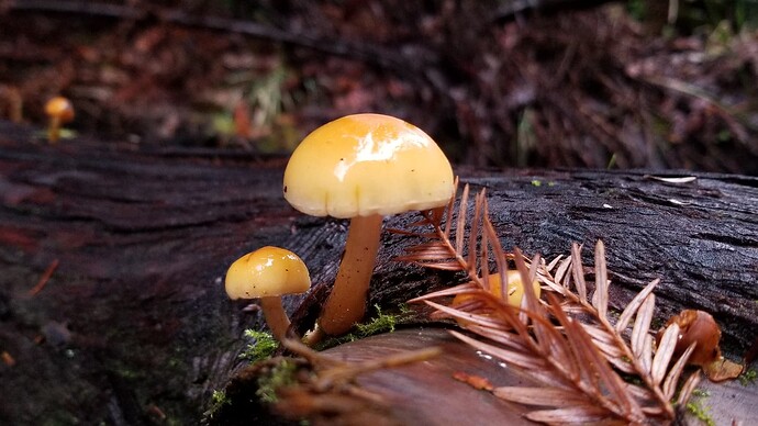 20210130_150230