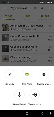 Screenshot_20230905_120103_iNaturalist
