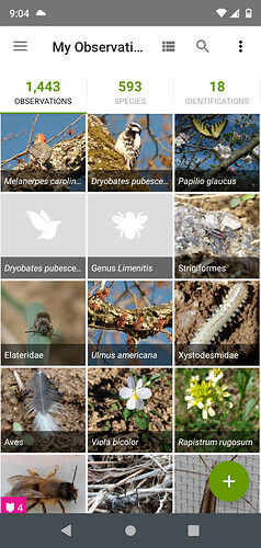 Screenshot_20210521-210420