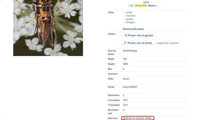 exif_metadata_inat