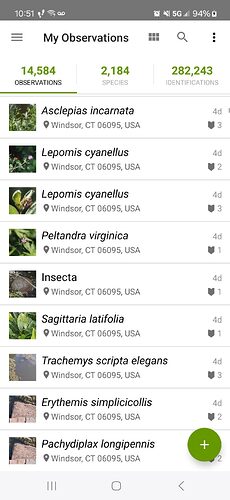 Screenshot_20250709_225138_iNaturalist