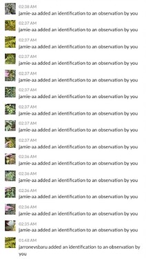 Screenshot 2025-10-29 at 07.13.55