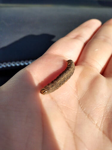 IMG_20251220_092712372_HDR