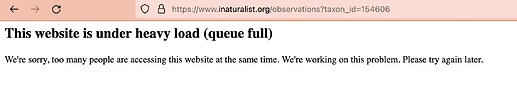 Screenshot 2024-02-12 at 01.46.29