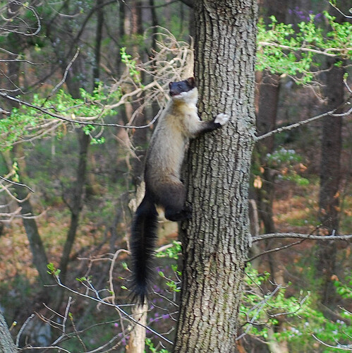 DSC_2388