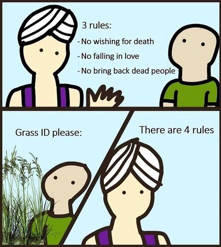 78455551_3189962244363952_6518735679210389504_n