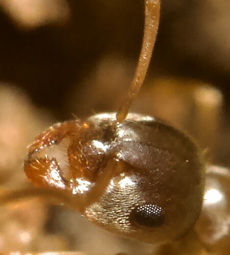 CE48E93E-74D2-43E2-8630-AD2FFD282F15_1_201_a