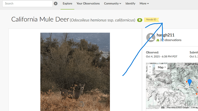 Screenshot (1796).png(2)