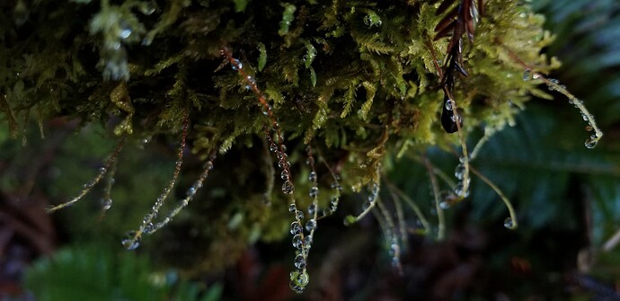 20230128_121308(0)