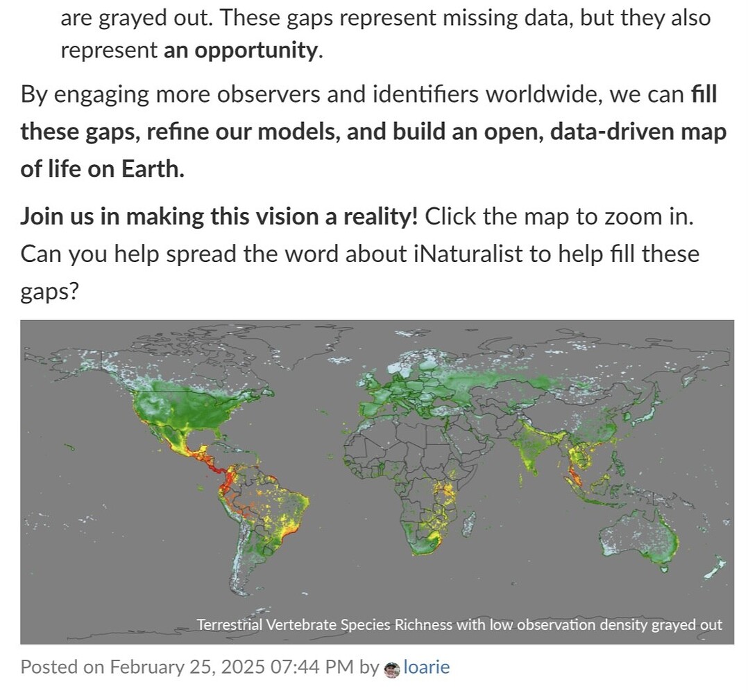 Celebrating 100 000 Modeled Taxa - Da8db5de656a2958d0d9d8ed250dd2bca42e33b3 2 1078x1000 