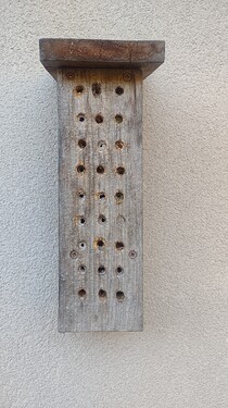 IMG_20251003_171047215