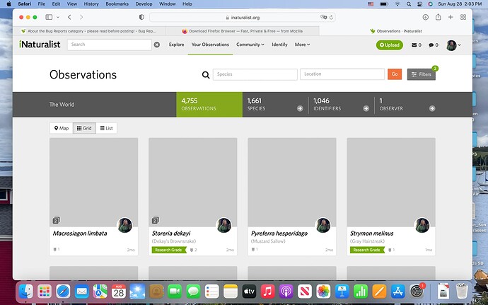 Screen Shot 2022-08-28 at 2.03.12 PM