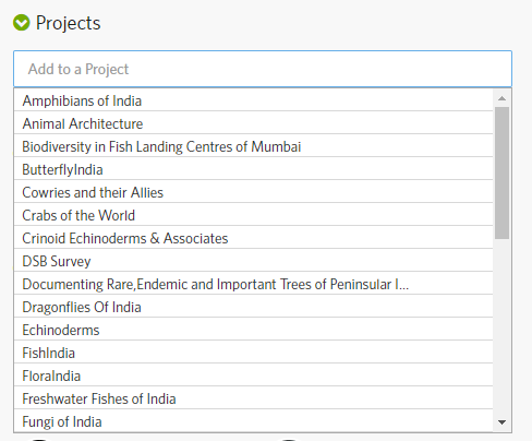 Project