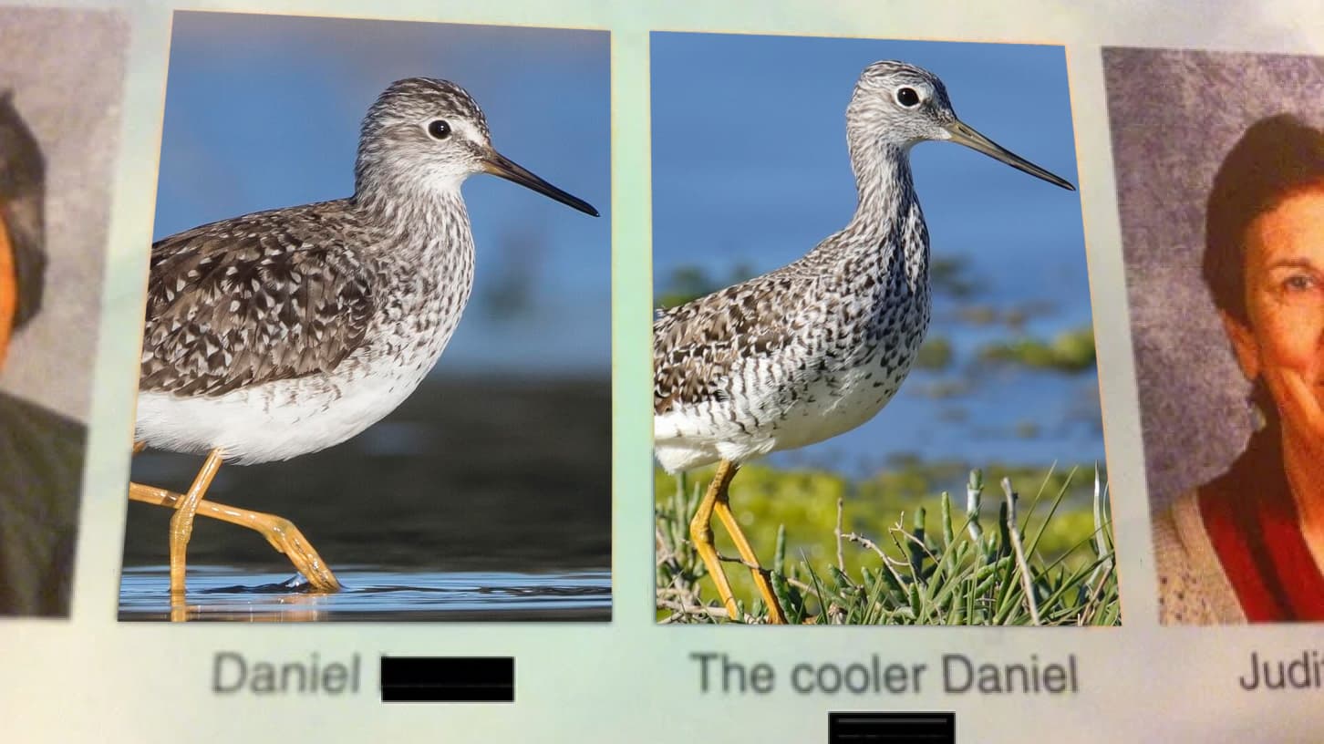 thecoolerdaniel