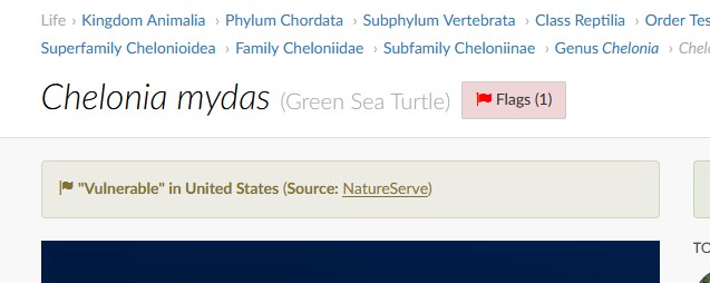 Screenshot 2025-11-04 231954