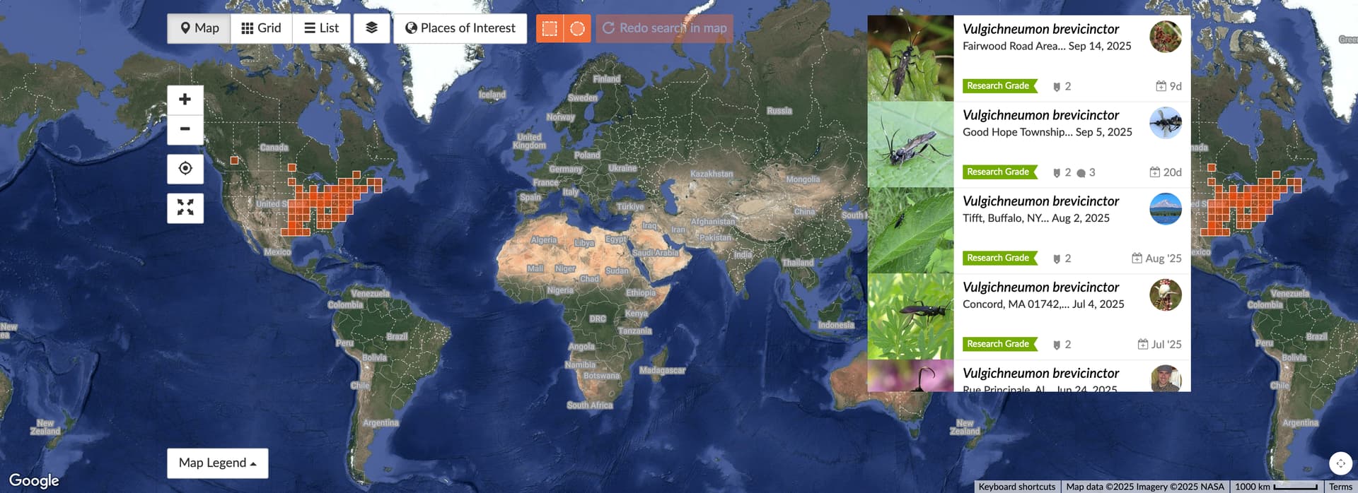 Screenshot 2025-09-26 at 09-27-16 Observations · iNaturalist