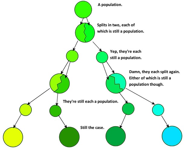 Above Bill Coles Comprehension