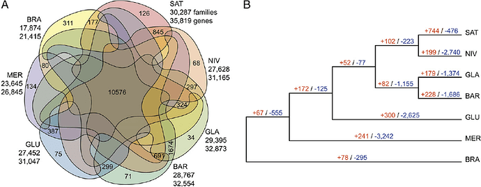 Evolutionary-dynamics-of-rice-gene-families-A-Venn-diagram-showing-unique-and-shared