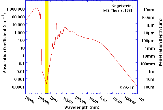 segelstein81