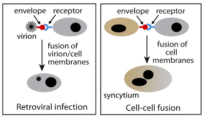 Screenshot 2025-10-12 at 17.16.39