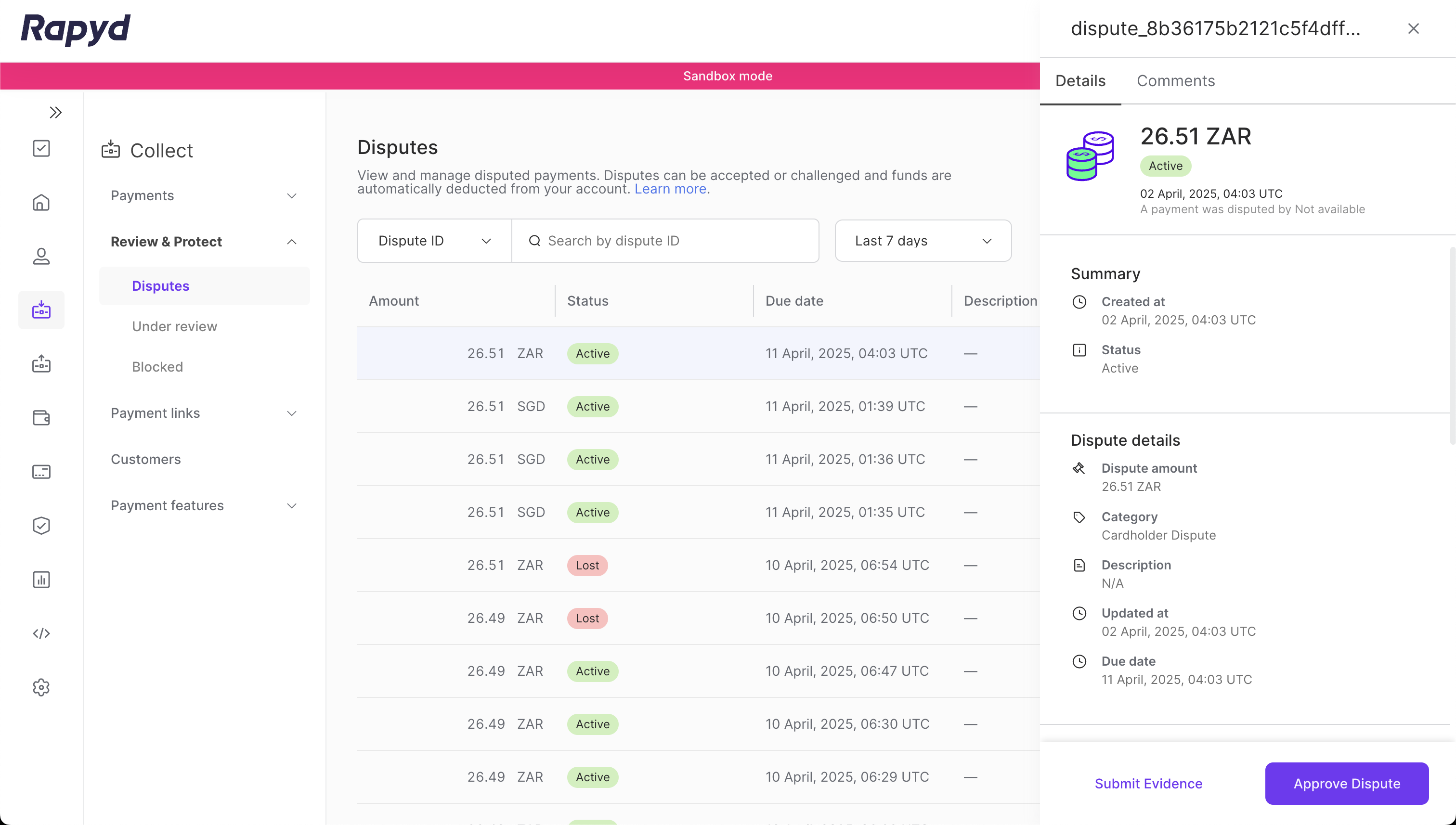 Review disputes using the Rapyd Client Portal