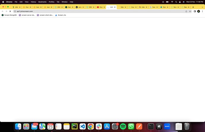 Screenshot 2022-11-23 at 11.58.29 PM