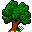 Tree-1-icon.png
