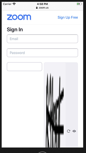 Screen Shot 2020-09-16 at 4.58.44 PM