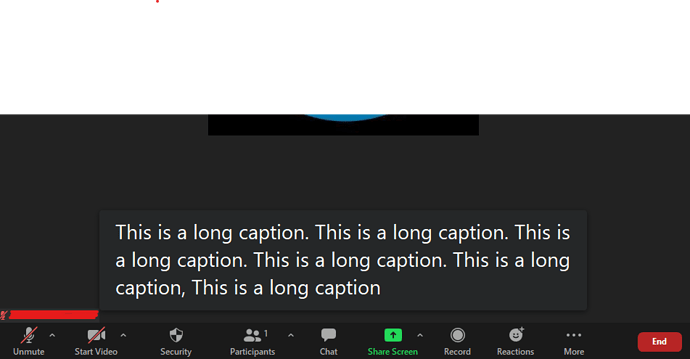 zoom app