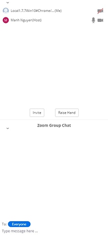 zoom-chat.png