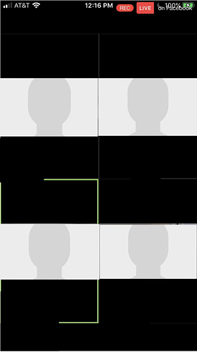 Screen Shot 2020-04-28 at 4.33.24 PM