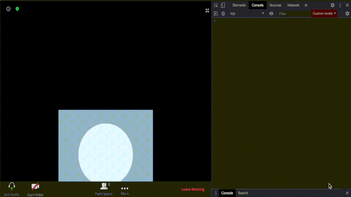 zoom-popup-raise-hand-error