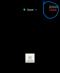 leavebtn