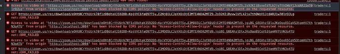 zoom-cors