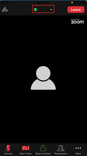 Screenshot 2021-04-16 at 12.12.47 PM