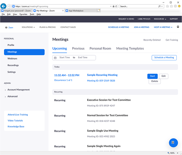 ZoomMeetingInitialScheduling