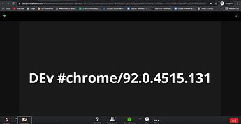 zoom_web_sdk_top_section_missing