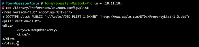 Screen Shot 2020-09-28 at 10.11.37 AM