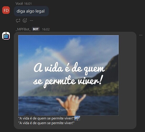 erro_zoom_filipesaraiva3_duplicou