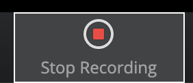 Screen Shot 2020-07-14 at 3.55.58 PM
