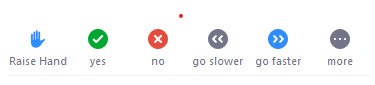 Zoom Reactions