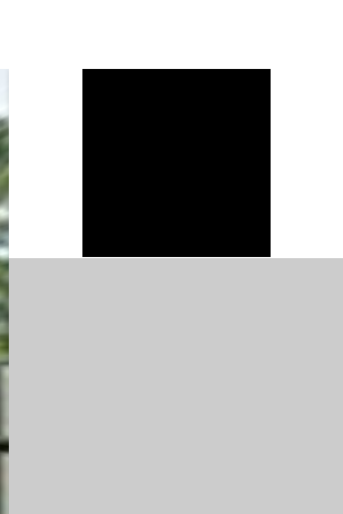 zoom_vpix_black_box
