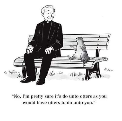 FB_IMG_1716329478975