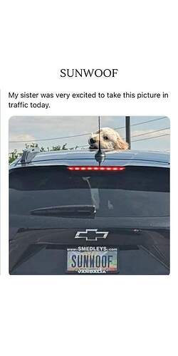 FB_IMG_1726696288755