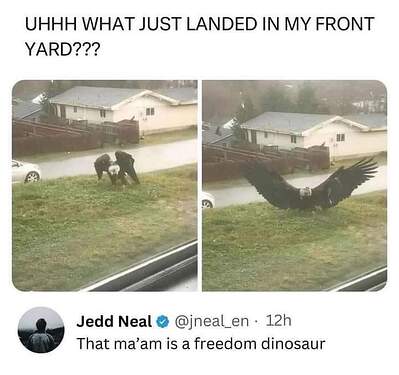 FB_IMG_1716942961184