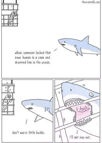 FB_IMG_1717258729729