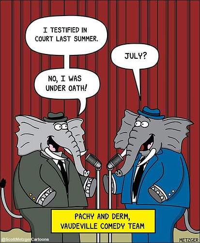 FB_IMG_1717273356774