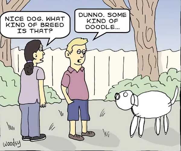 448457669_10233804904043253_2240428907400118375_n