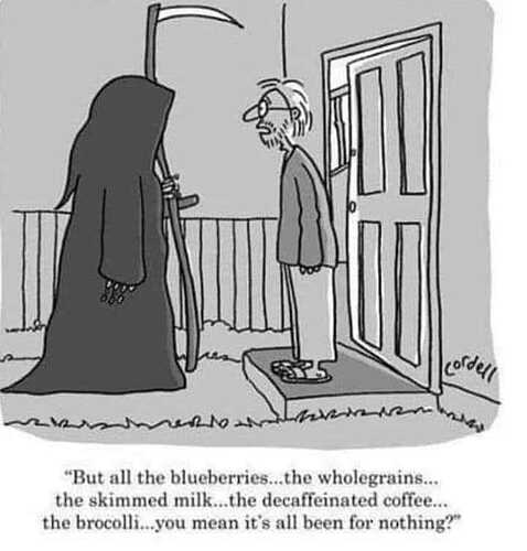 448685883_890647296435828_121690165412827233_n